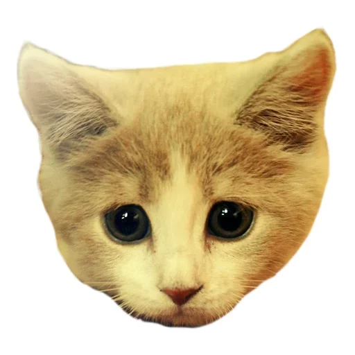 😩 Стикер «Pets» для Telegram