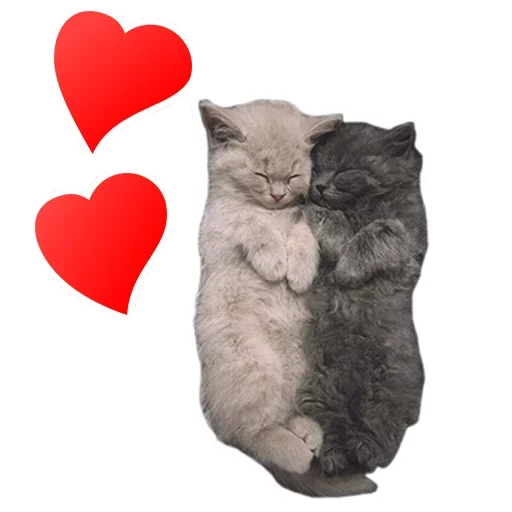 😥 Стикер «Pets» для Telegram