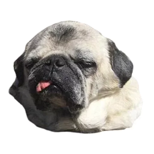 😡 Стикер «Pets» для Telegram