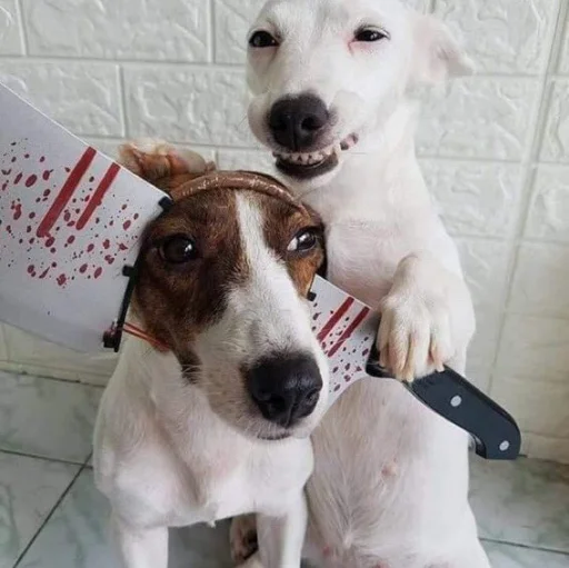 🐶 Стикер «telexorros» для Telegram