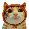 🐱 Эмодзи «теплое осеннее» для Telegram