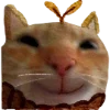 🐱 Эмодзи «теплое осеннее» для Telegram