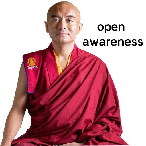 👁 Стикер «Yongey Mingyur Rinpoche» для Telegram