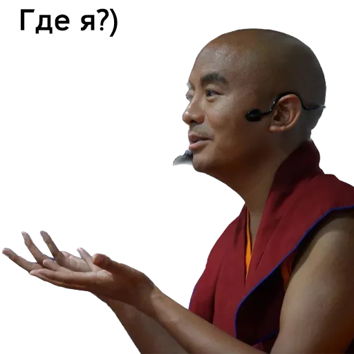 🤔 Стикер «Yongey Mingyur Rinpoche» для Telegram