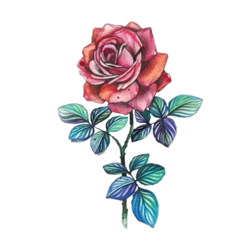 🌹 Стикер «моя любовь» для Telegram
