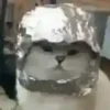 🤕 Эмодзи «test cats» для Telegram