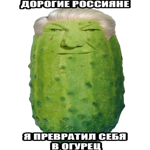 🥒 Стикер «Рандомчик TF2 RUS CHAT» для Telegram
