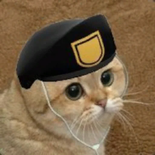 🐱 Стикер «TF2 sprays I stole» для Telegram