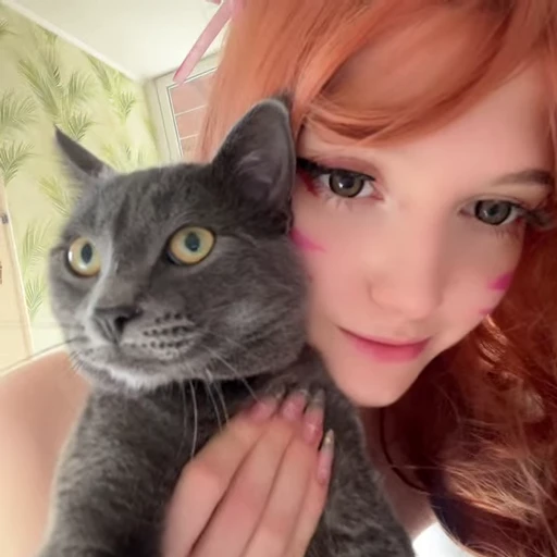 🫡 Стикер «tg Astasiangel» для Telegram