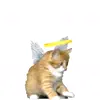 Стикер 7 cats add #cat #коты