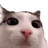 Обложка набора cats add #cat #коты