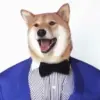 Стикер 54 dogs add #dog #собаки