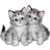 Стикер 23 for girls add #girls #длядевочек