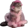 Стикер 56 for girls add #girls #длядевочек