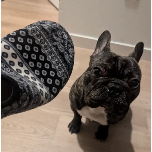 🥰 Стикер «PHILOSOPHY_tg_yp_flow» для Telegram