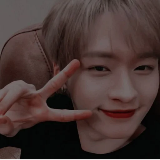 🎶 Стикер «Straykids» для Telegram
