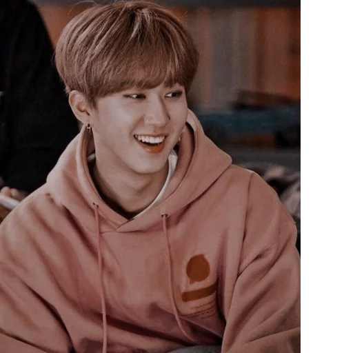 🎶 Стикер «Straykids» для Telegram