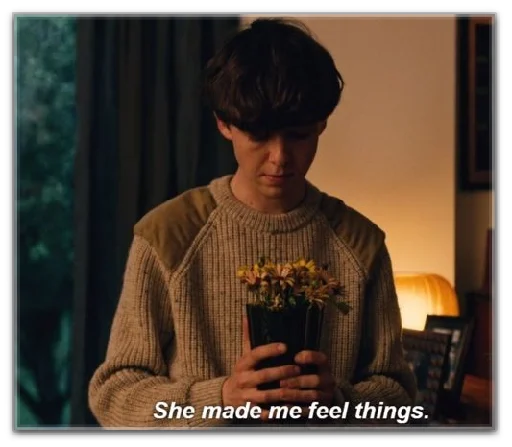 🥰 Стикер «End of this f***ing world» для Telegram