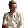 Стикер 43 The Hunger Games