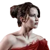 Стикер 14 The Hunger Games