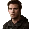 Стикер 26 The Hunger Games