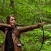 Стикер 40 The Hunger Games