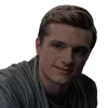 Стикер 45 The Hunger Games