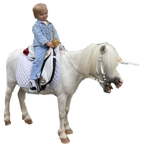 🦄 Стикер «The Kukoyaka’s» для Telegram