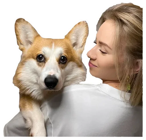 🐶 Стикер «The Kukoyaka’s» для Telegram