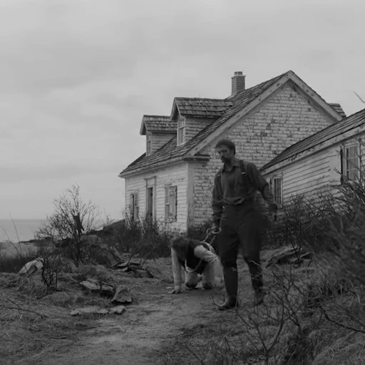 🦮 Стикер «The Lighthouse / Маяк» для Telegram