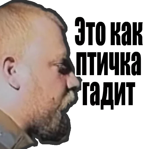 🐓 Стикер «Зелёный Слоник» для Telegram