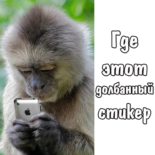 🔍 Стикер «MVP WhatsApp» для Telegram