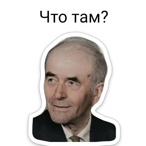 ❔ Стикер «ТНО шиза» для Telegram