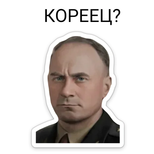 🇰🇵 Стикер «ТНО шиза» для Telegram