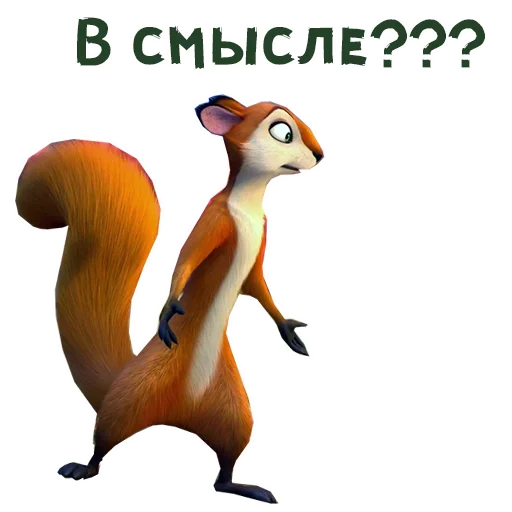 😮 Стикер «Реальная белка» для Telegram