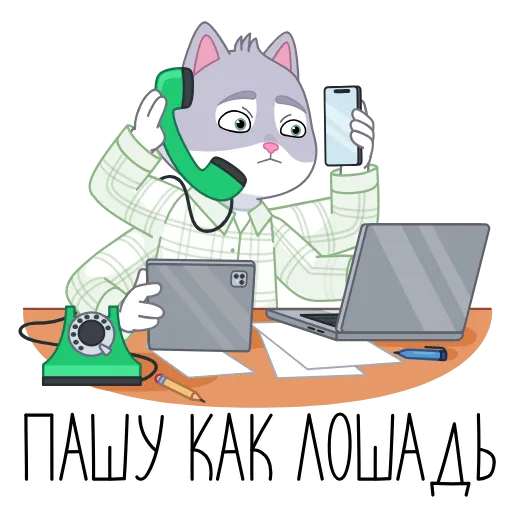 📞 Эмодзи «Тот самый СберКот» для Telegram