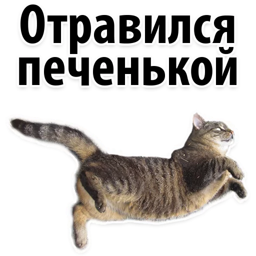 😔 Стикер «Молодёжный сленг» для Telegram