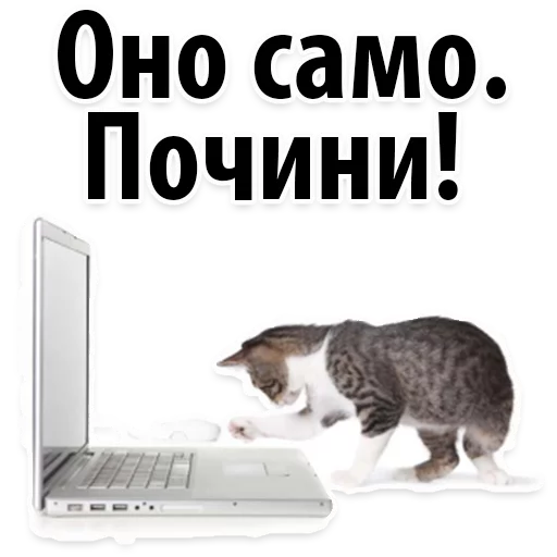 😔 Стикер «Молодёжный сленг» для Telegram