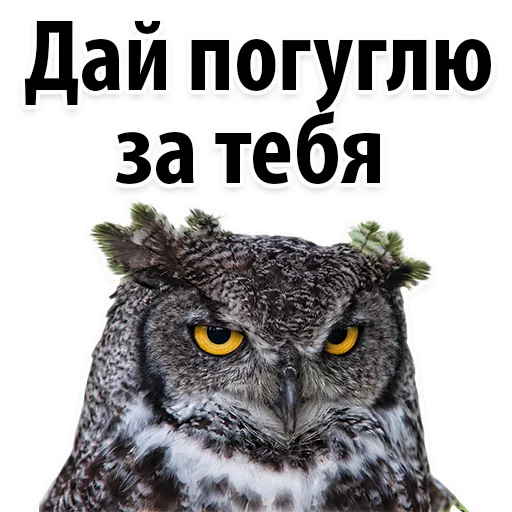 🙈 Стикер «Молодёжный сленг» для Telegram
