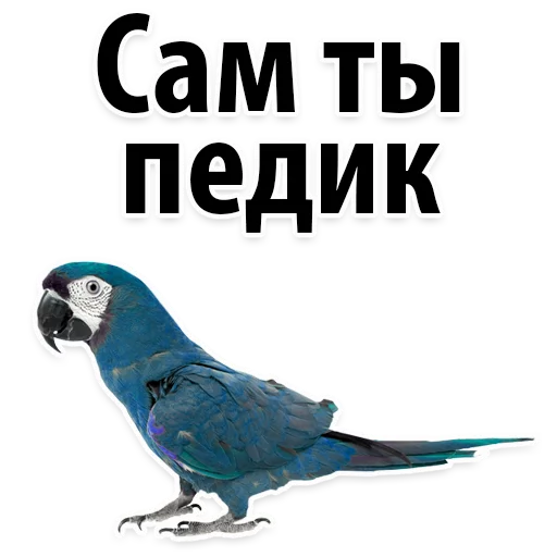 😊 Стикер «Молодёжный сленг» для Telegram