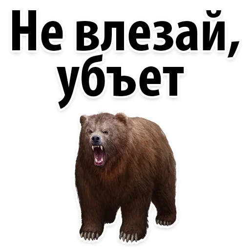 🙈 Стикер «Молодёжный сленг» для Telegram