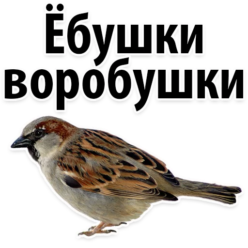 😔 Стикер «Молодёжный сленг» для Telegram