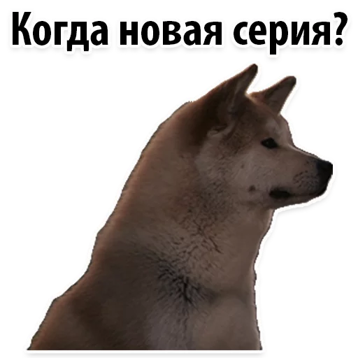 😍 Стикер «Молодёжный сленг» для Telegram