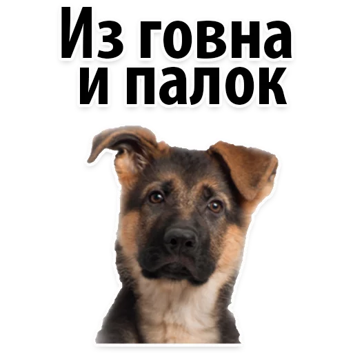 😂 Стикер «Молодёжный сленг» для Telegram