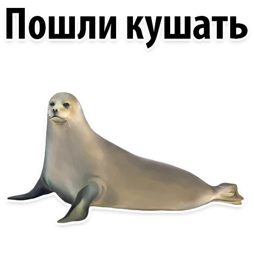 👍 Стикер «Молодёжный сленг» для Telegram