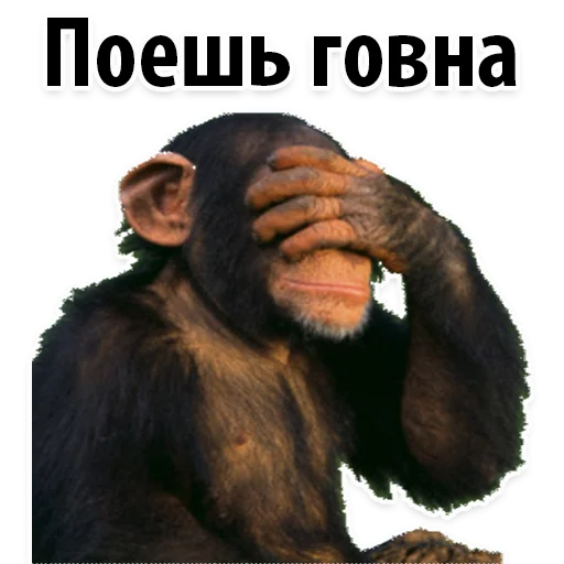 👍 Стикер «Молодёжный сленг» для Telegram