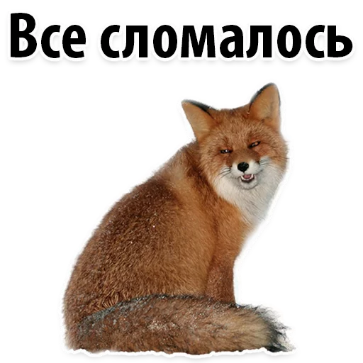 😔 Стикер «Молодёжный сленг» для Telegram