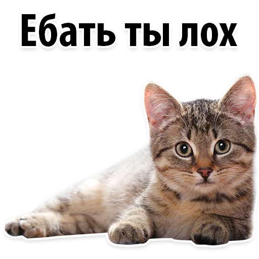 😔 Стикер «Молодёжный сленг» для Telegram