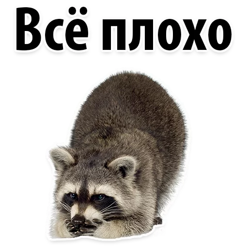 😱 Стикер «Молодёжный сленг» для Telegram