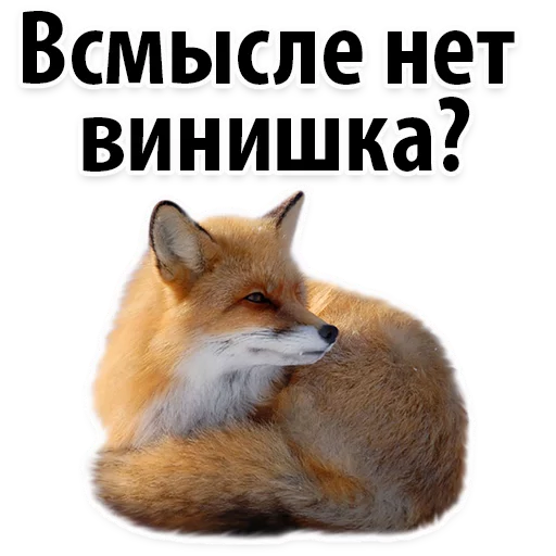 😔 Стикер «Молодёжный сленг» для Telegram